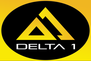 Delta Syndicate Kft karrier, állás és munka