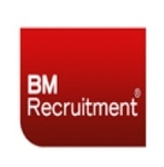 BM Recruitment Group Kft. logó