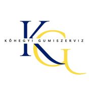 Kőhegyi Györgyné karrier, állás és munka