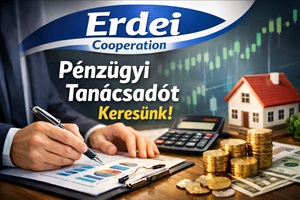 Erdei Zsombor karrier, állás és munka