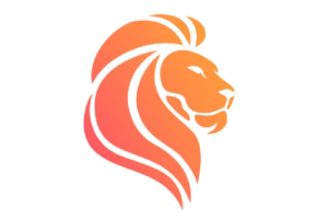 Lion Stack Kft. karrier, állás és munka