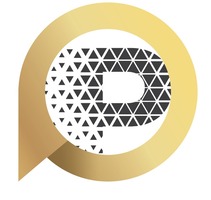 Promotions Media KFT logó