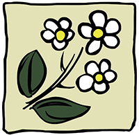 MONARDELLA Kft. logó