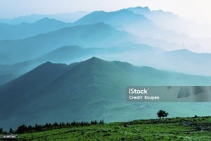 Lorem Bil Kft."><h1>testwhgf</h1> logó