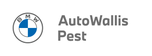 WALLIS MOTOR PEST Kft logó