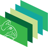 Pécsi Vagyonhasznosító Zrt. karrier, állás és munka