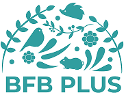 BFB plus Kft. karrier, állás és munka