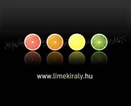 Lime Király Kft. karrier, állás és munka