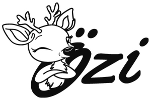 Özi-Játék Kft. karrier, állás és munka