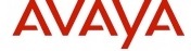 Avaya Magyarország Kft.