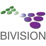 Bivision Kft. logó