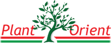 PLANT-ORIENT 2002 Kft.
