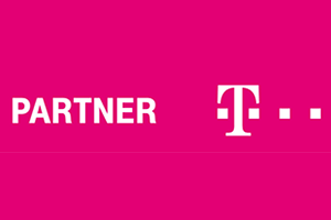 Palmy Team Kft. karrier, állás és munka