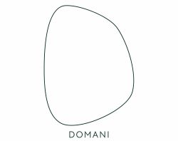 DOMANI HU. Kft. logó