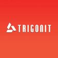 TRIGONIT KFT. logó