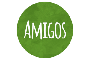 Amigos A Gyerekekért Alapítvány karrier, állás és munka