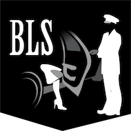 B.L.S.Service Kft. logó