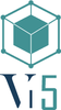 VI5 Technologies Kft. logo
