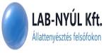 LAB-NYÚL Kft. karrier, állás és munka