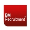 BM Recruitment Group Kft. logó