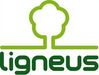 Ligneus Kft logó