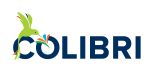 COLIBRI 90 Kft. logó