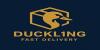 Duckl1ng Kft. logó
