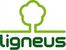 Ligneus Kft logó
