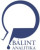 BÁLINT ANALITIKA Kft logo