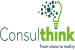 Consulthink Solutions Kft. logo