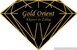 Gold Orient Zrt logo