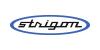 STRIGON Kft. logó