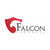 Falcon Security Bt. karrier, állás és munka