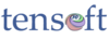 TEN-SOFT Kft. logó