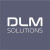 DLM Solutions Kft. logó