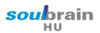 Soulbrain HU Kft. karrier, állás és munka