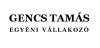 Gencs Tamás karrier, állás és munka